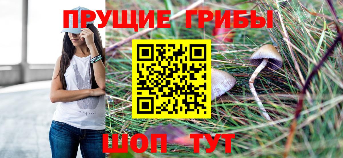 Галлюциногенные грибы Magic Shrooms  закладки  Вход с VPN  Октябрьский  Галлюциногенные грибы ЛСД 